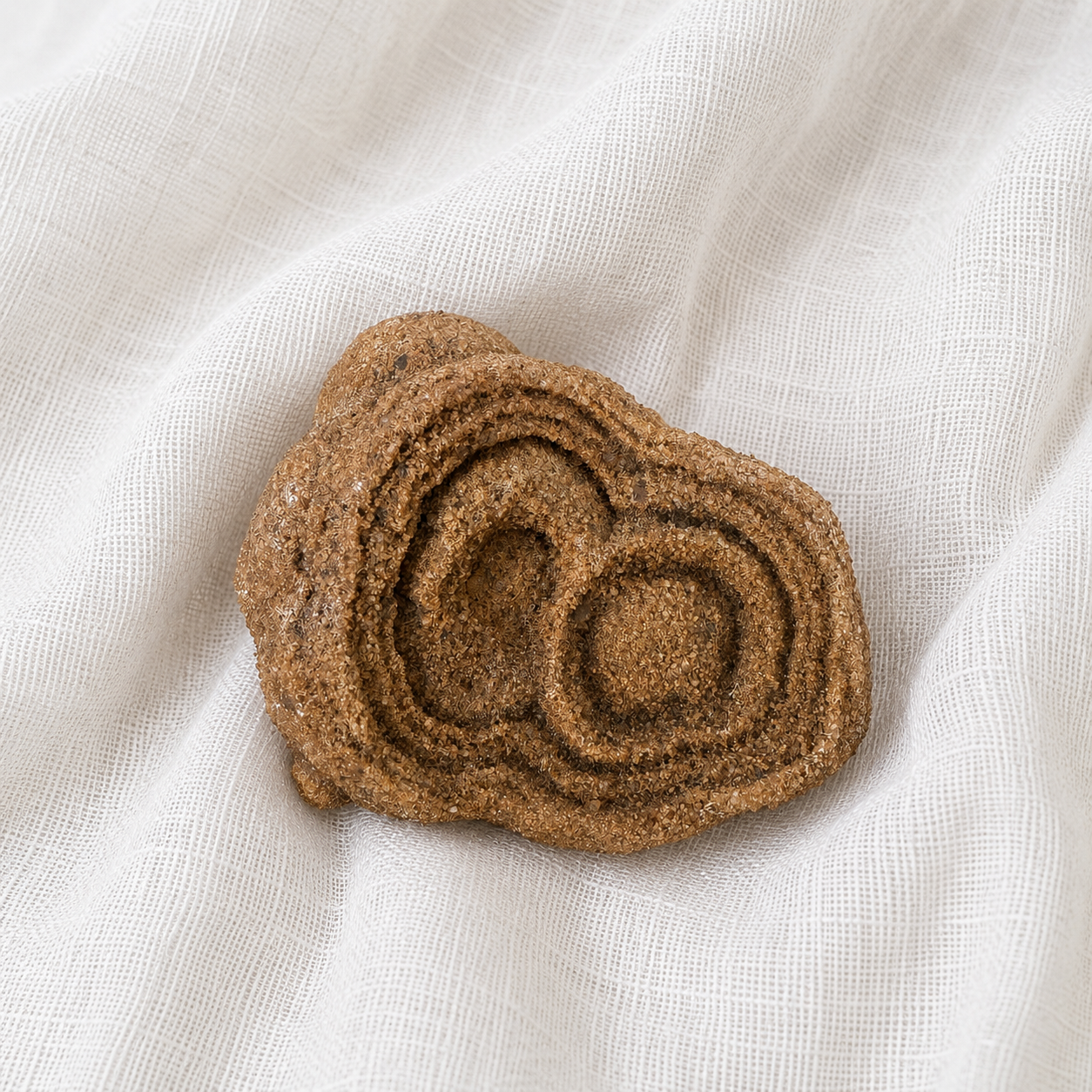 Stromatolite Fossil #2