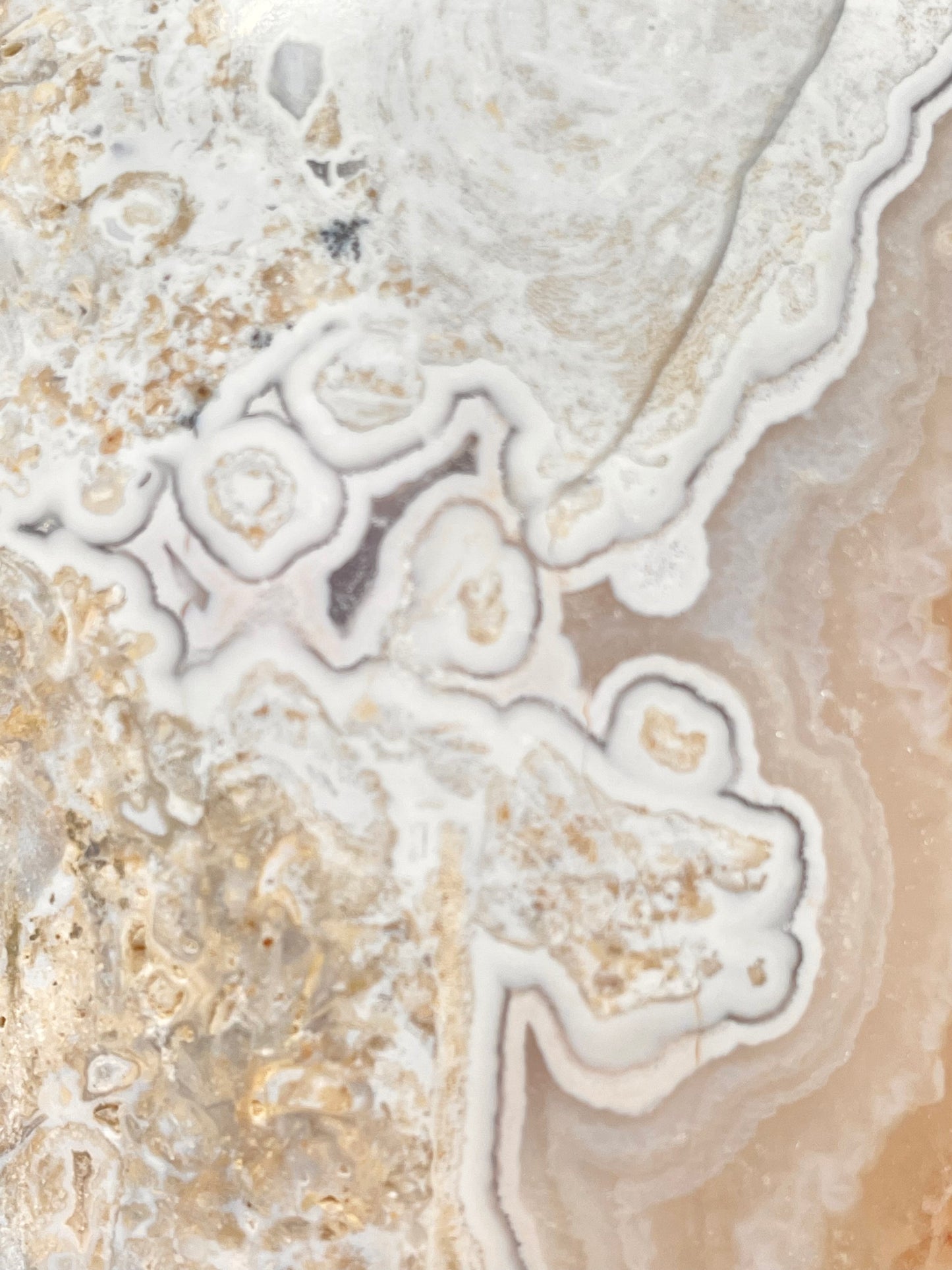 Blue Crazy Lace Agate Statement Piece