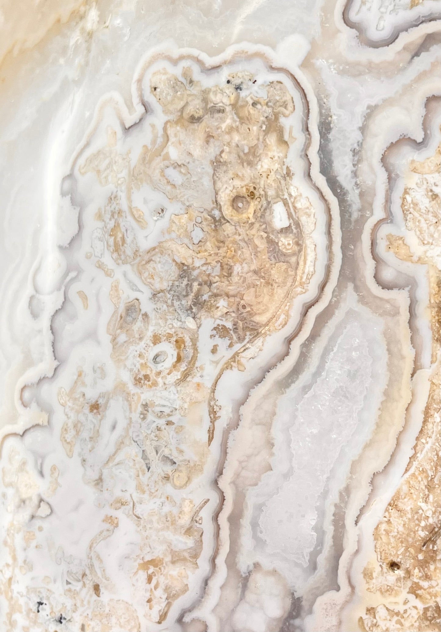 Blue Crazy Lace Agate Statement Piece