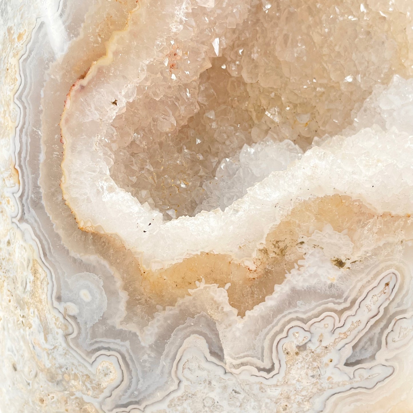 Blue Crazy Lace Agate Statement Piece