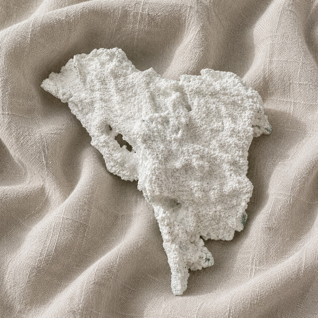 350: White And Green Specimen