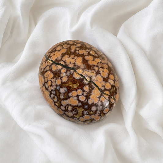 134: Ocean Jasper Palm Stone