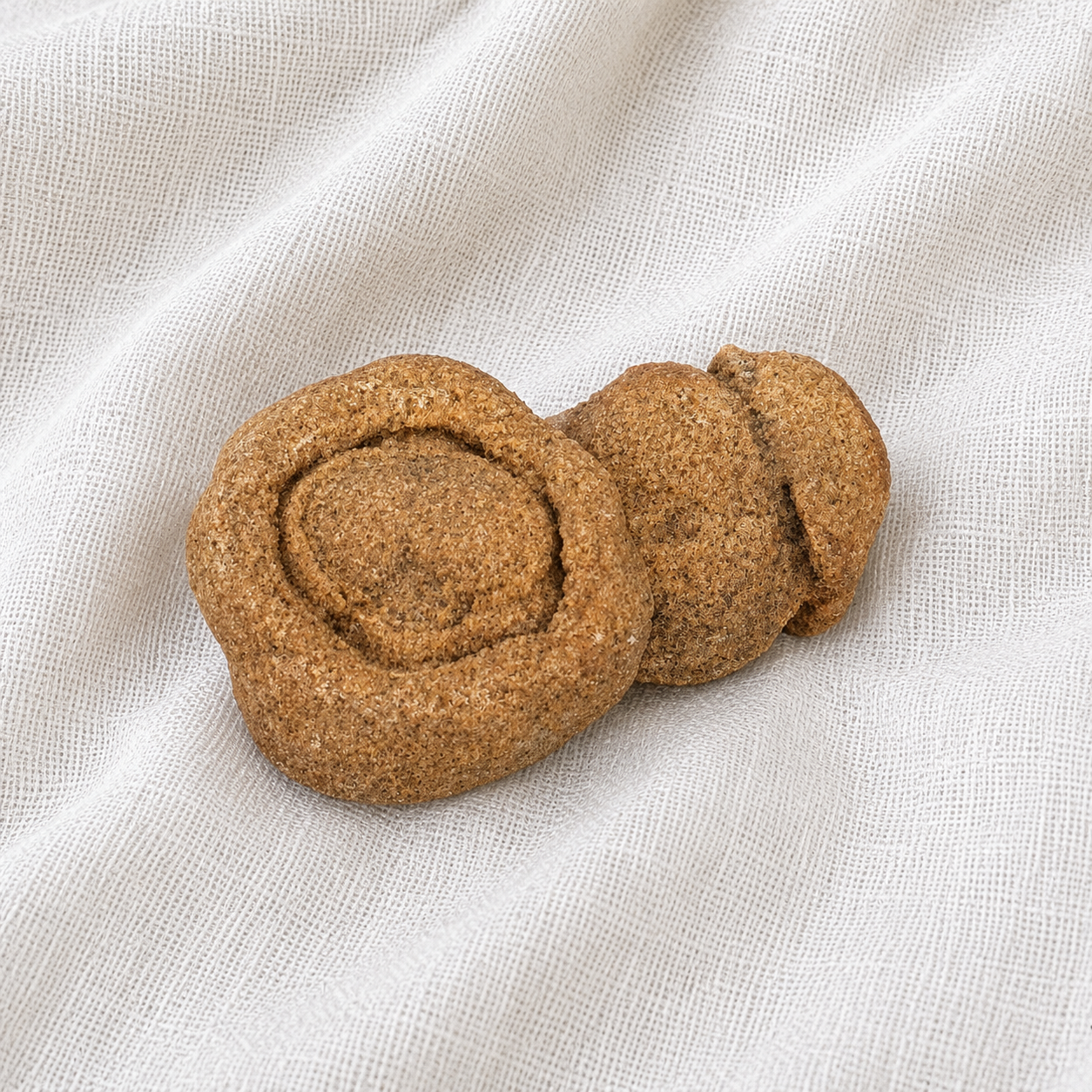 Stromatolite Fossil #5