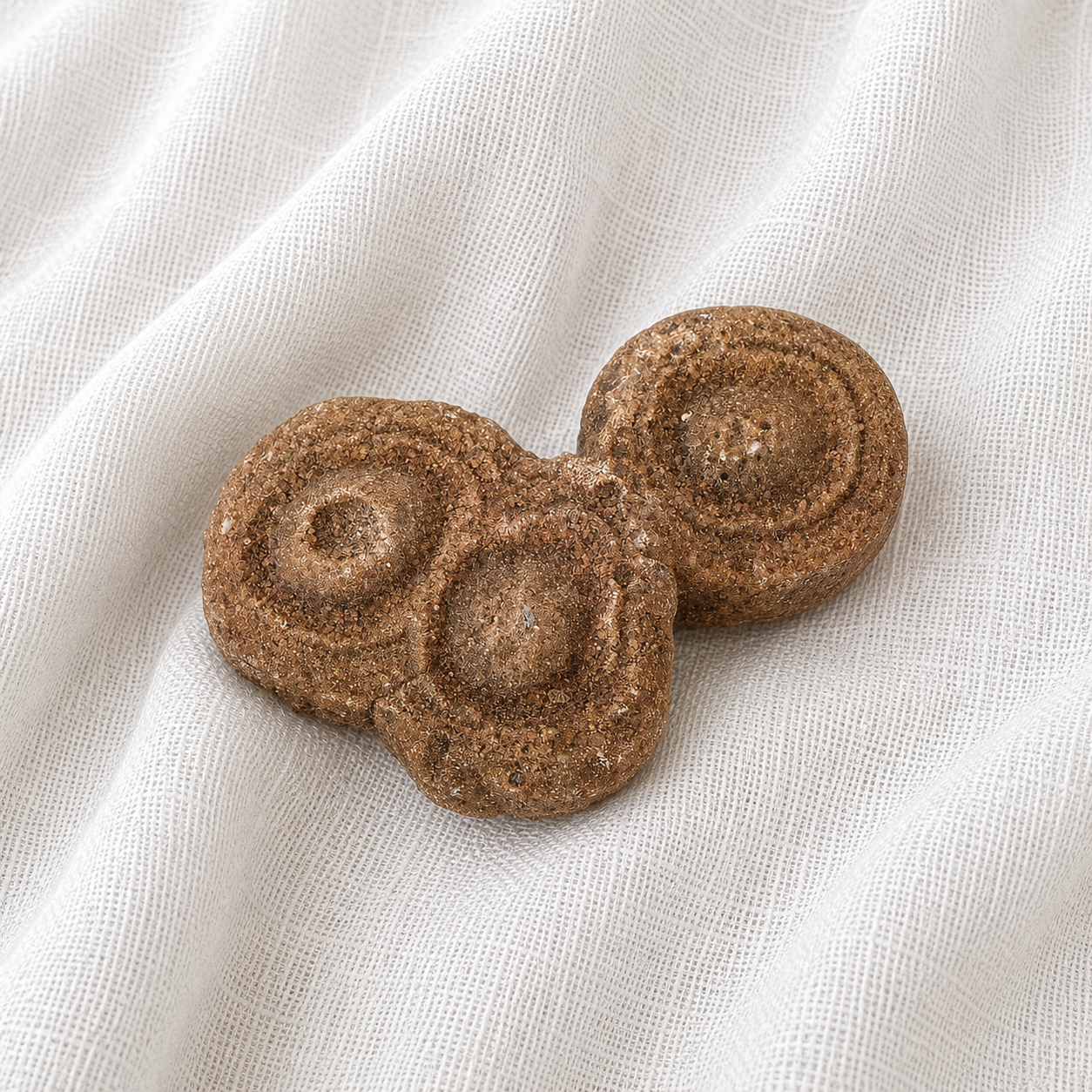 Stromatolite Fossil #4