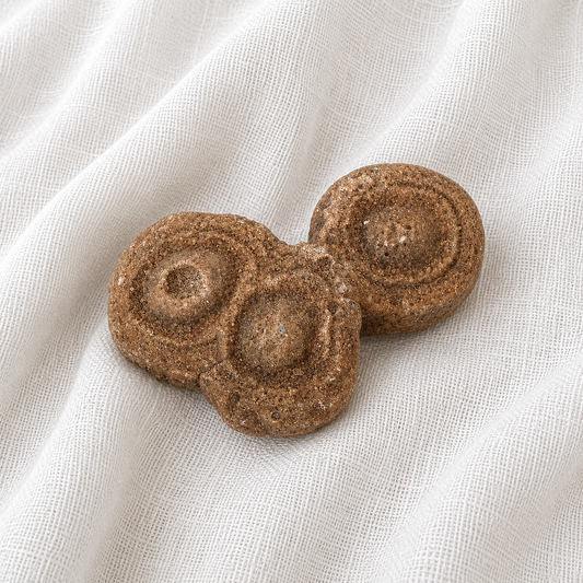Stromatolite Fossil #4